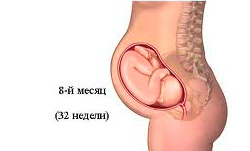 восьмой месяц беременности