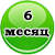 6 месяц жизни